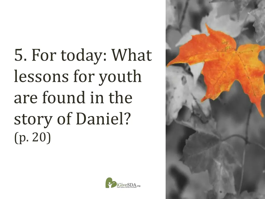 5 for today what lessons for youth are found