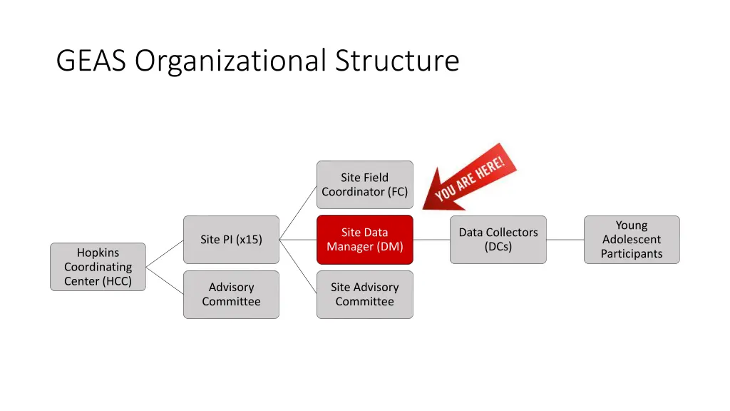geas organizational structure