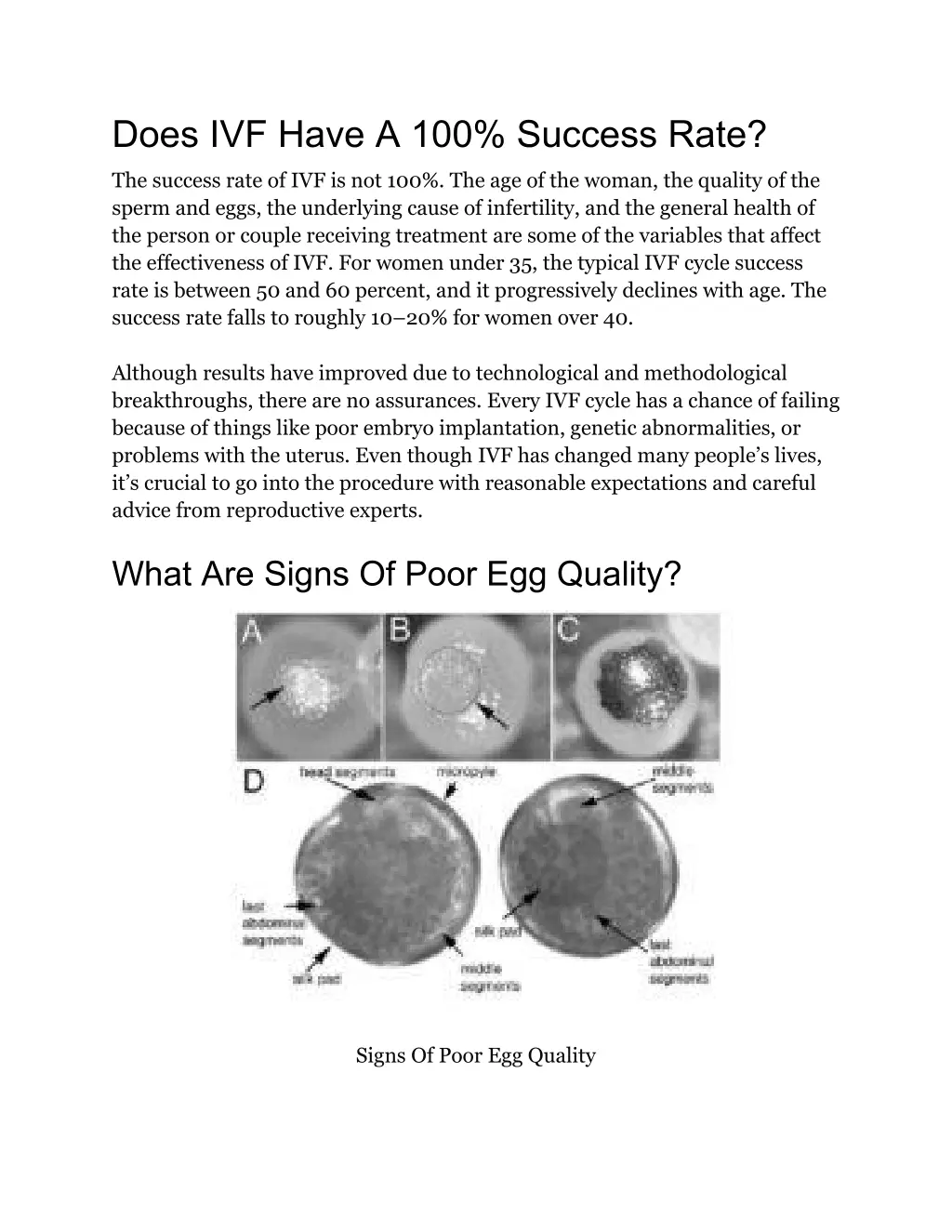 does ivf have a 100 success rate