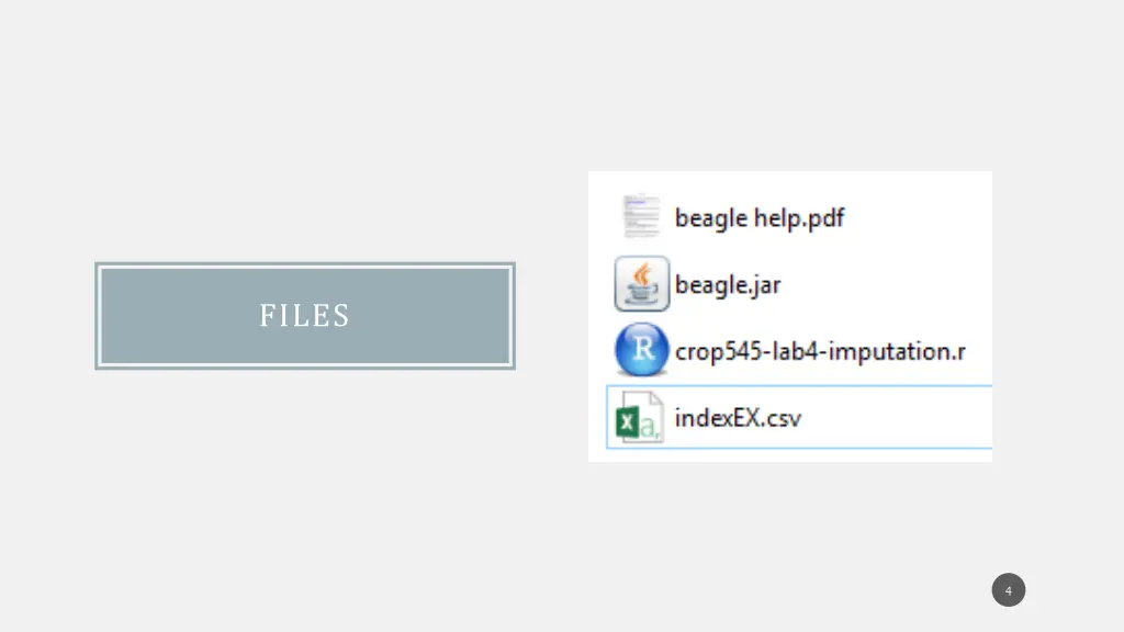 files