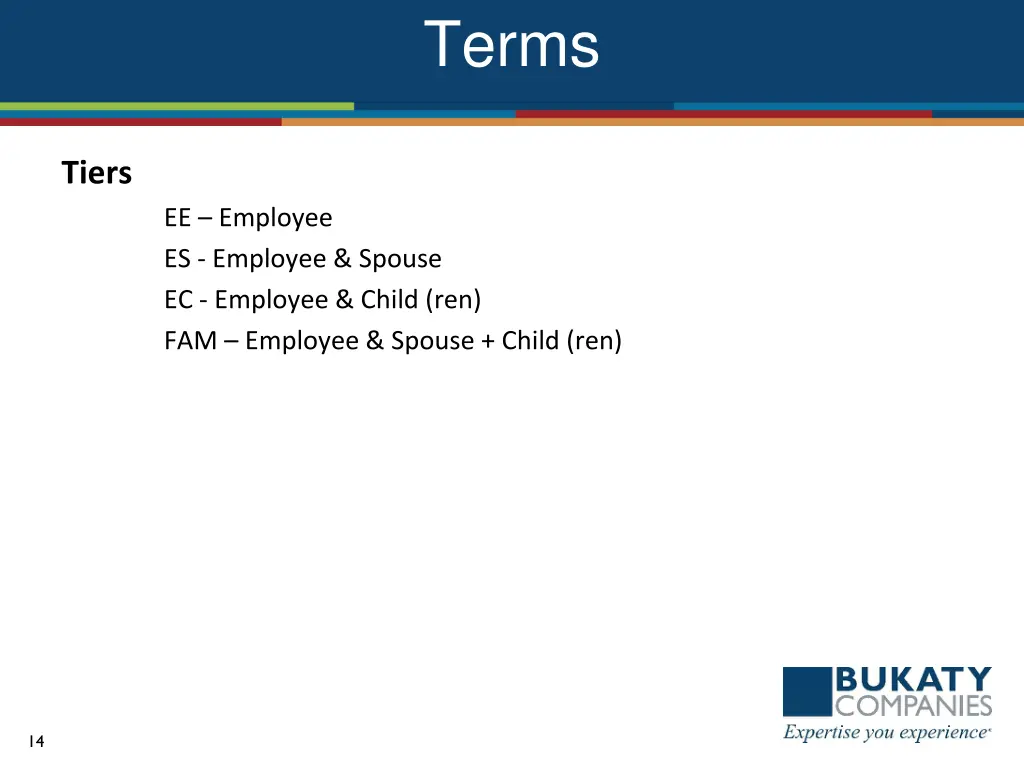 terms 3
