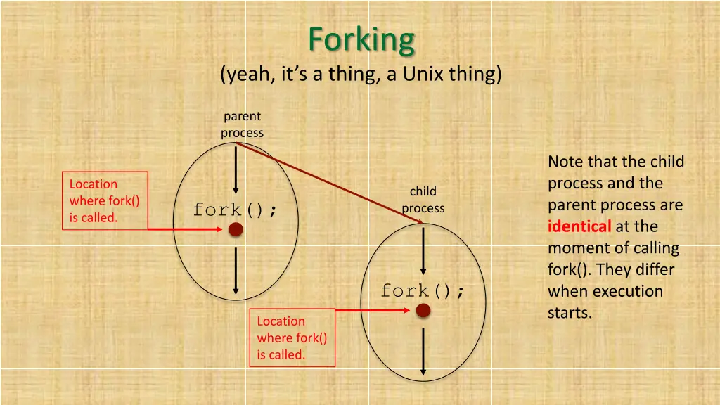 forking 1