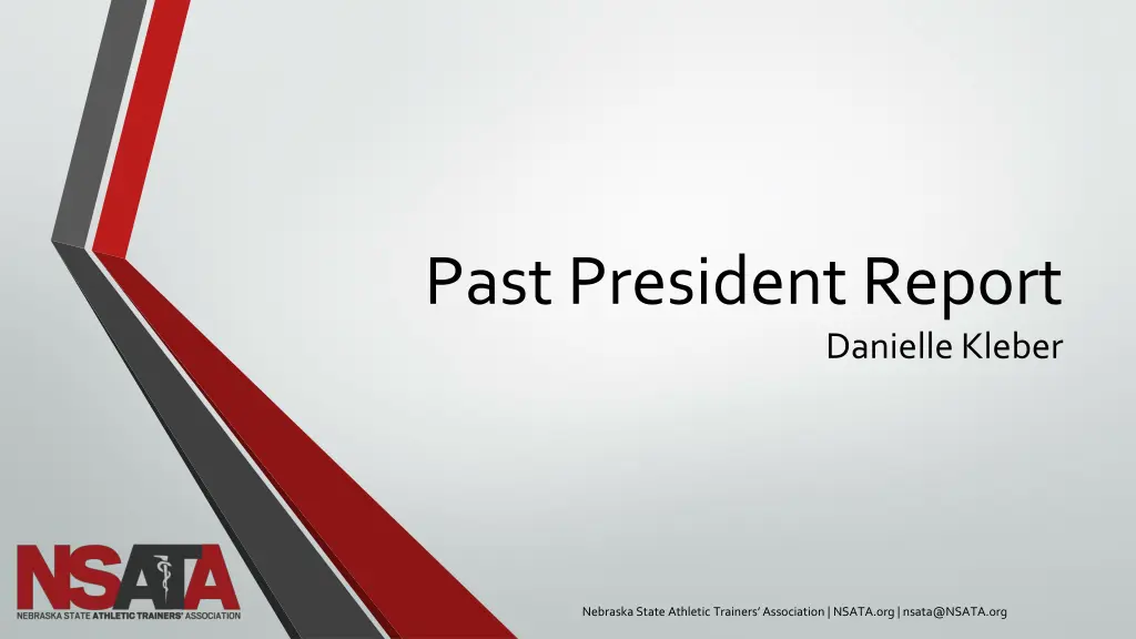 past president report