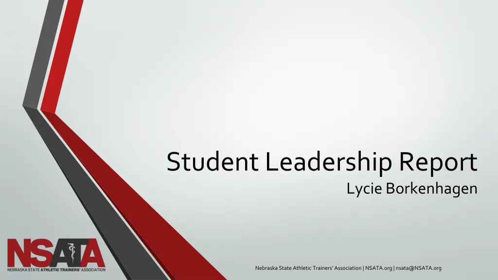 student leadership report