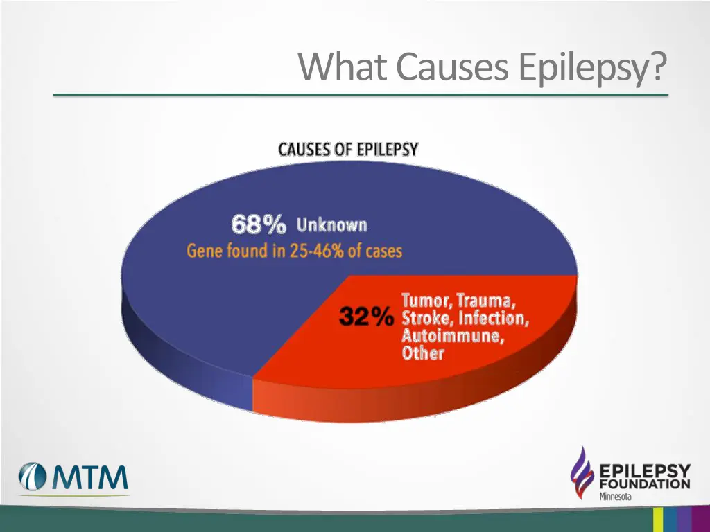 what causes epilepsy