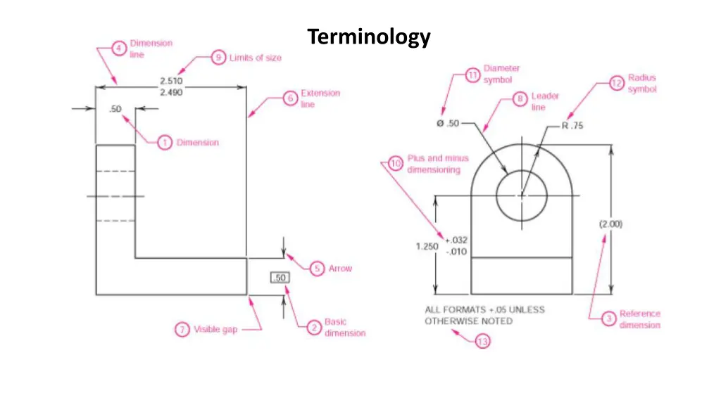 terminology