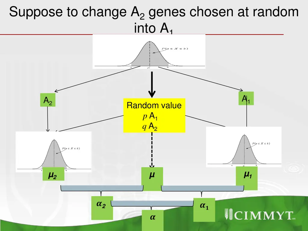 suppose to change a 2 genes chosen at random into