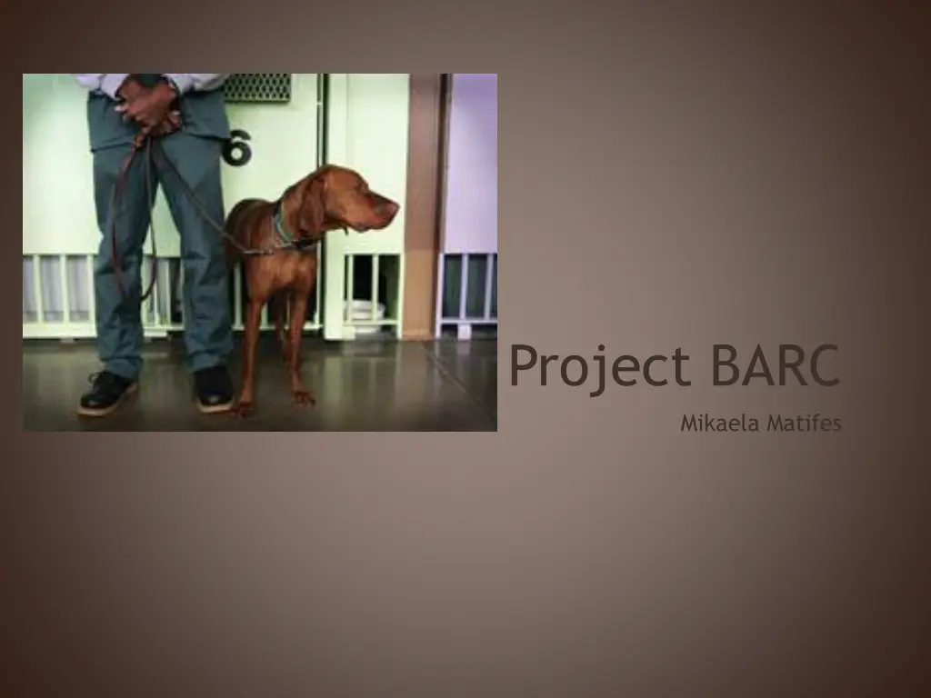 project barc