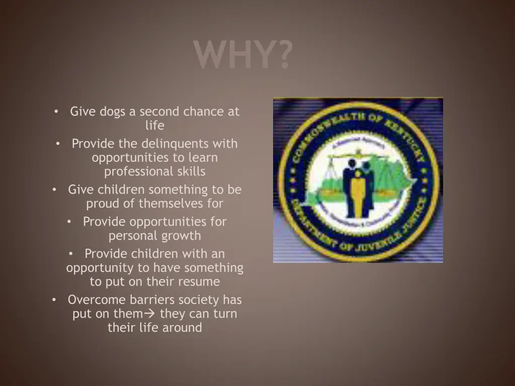 slide7