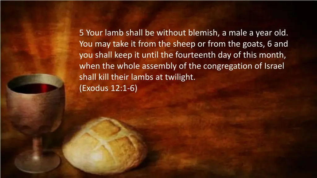 5 your lamb shall be without blemish a male