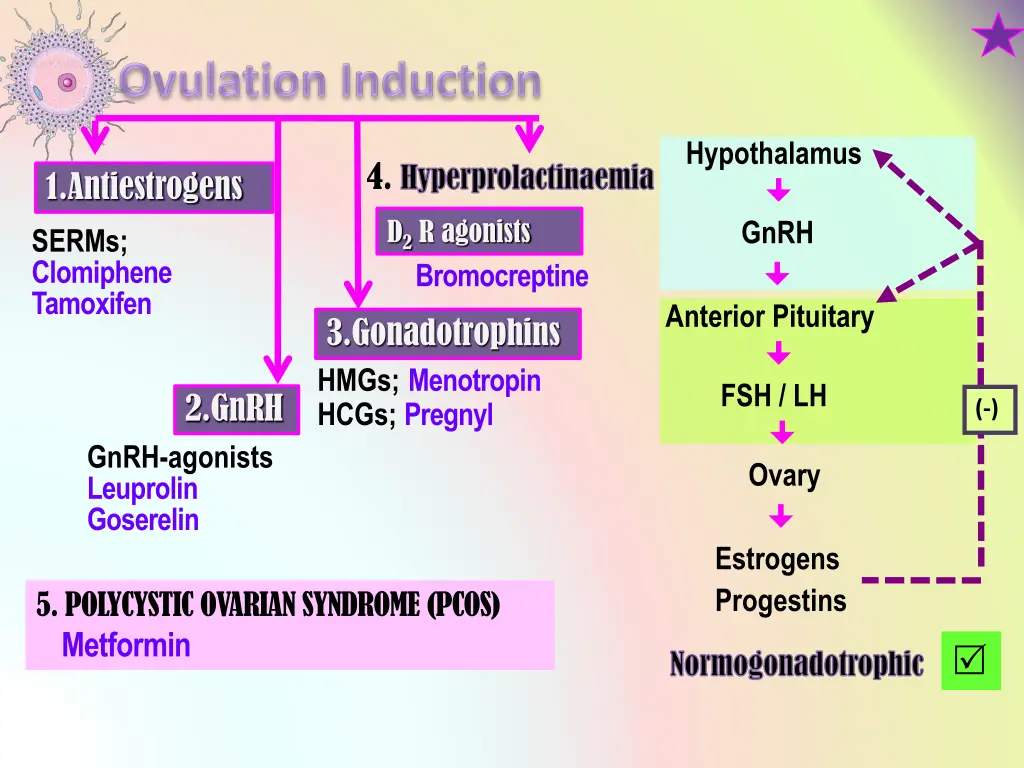 hypothalamus gnrh anterior pituitary