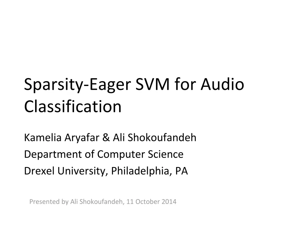sparsity eager svm for audio classification