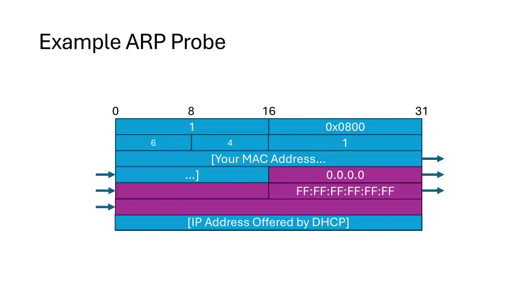 example arp probe