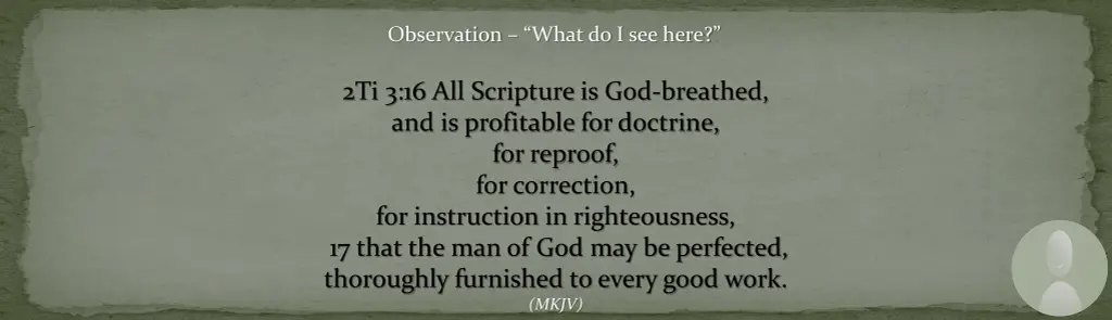 observation what do i see here