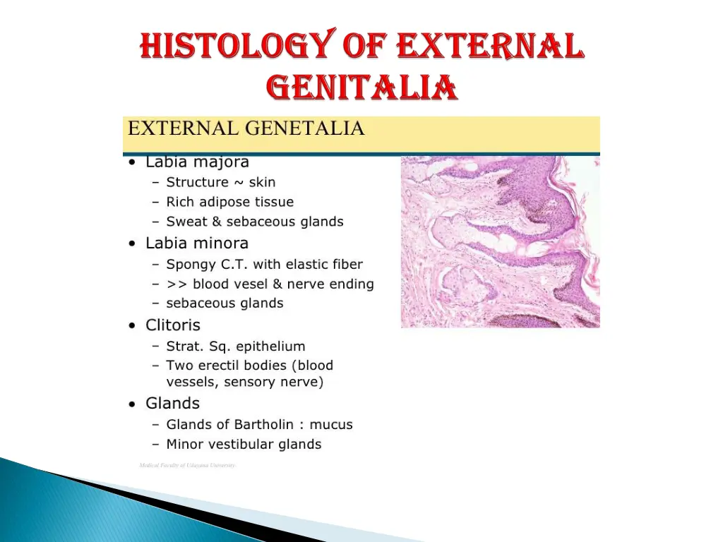 slide15