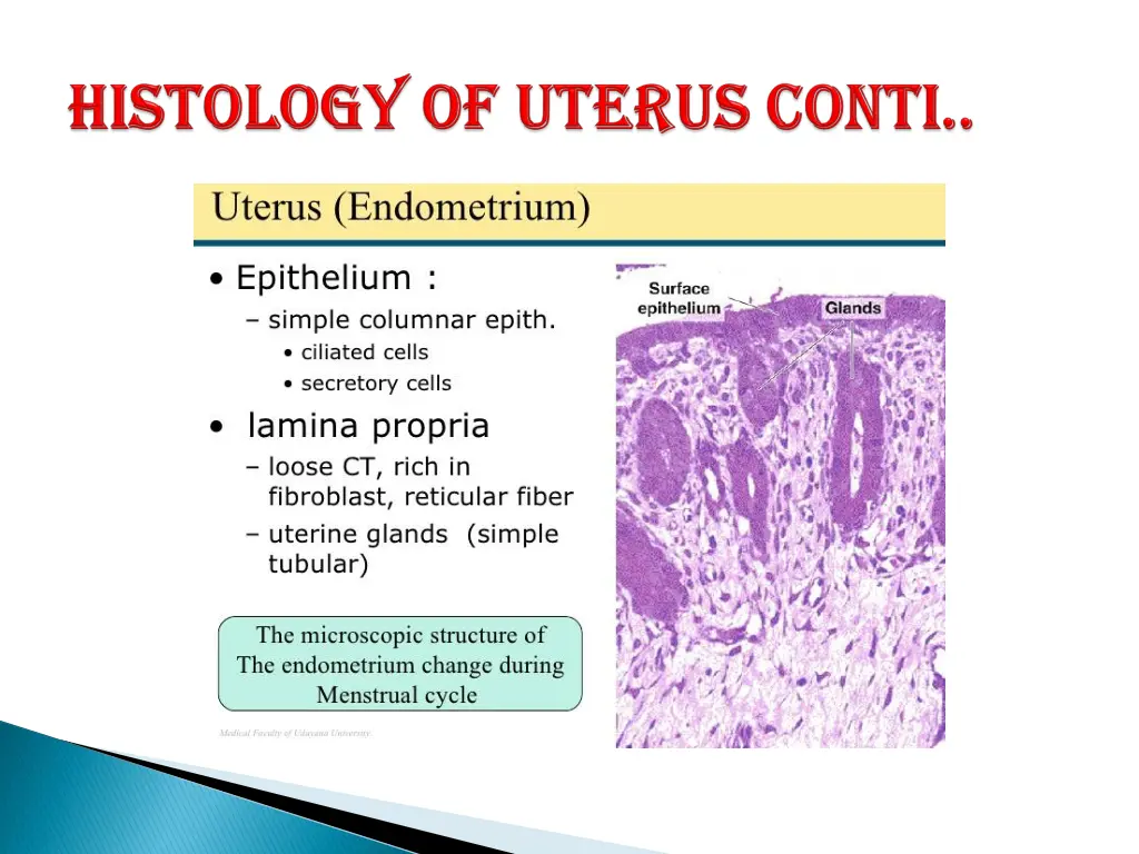 slide6