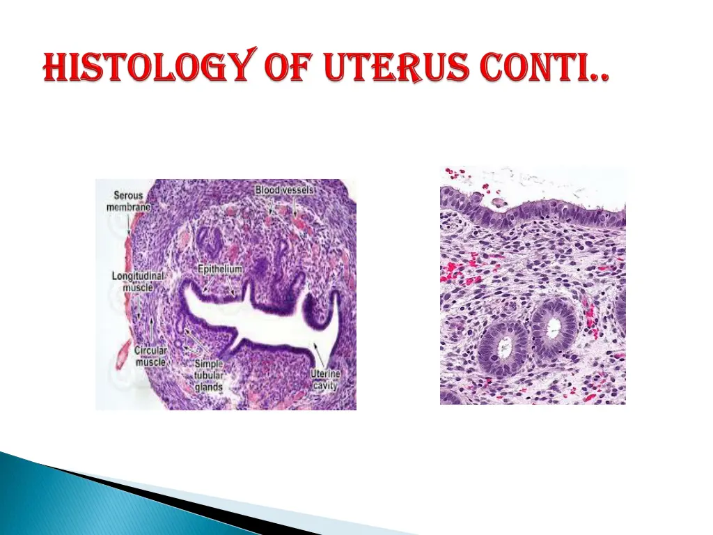 slide7