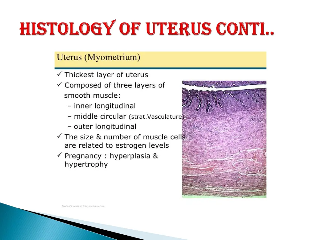 slide8