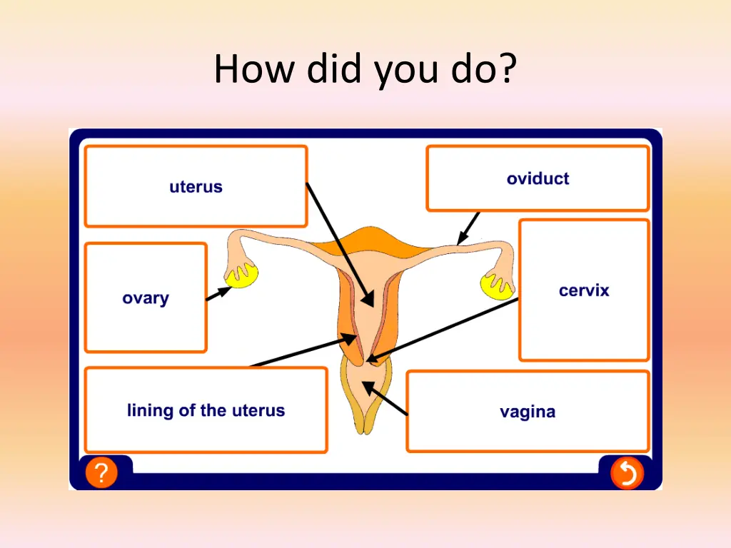 how did you do