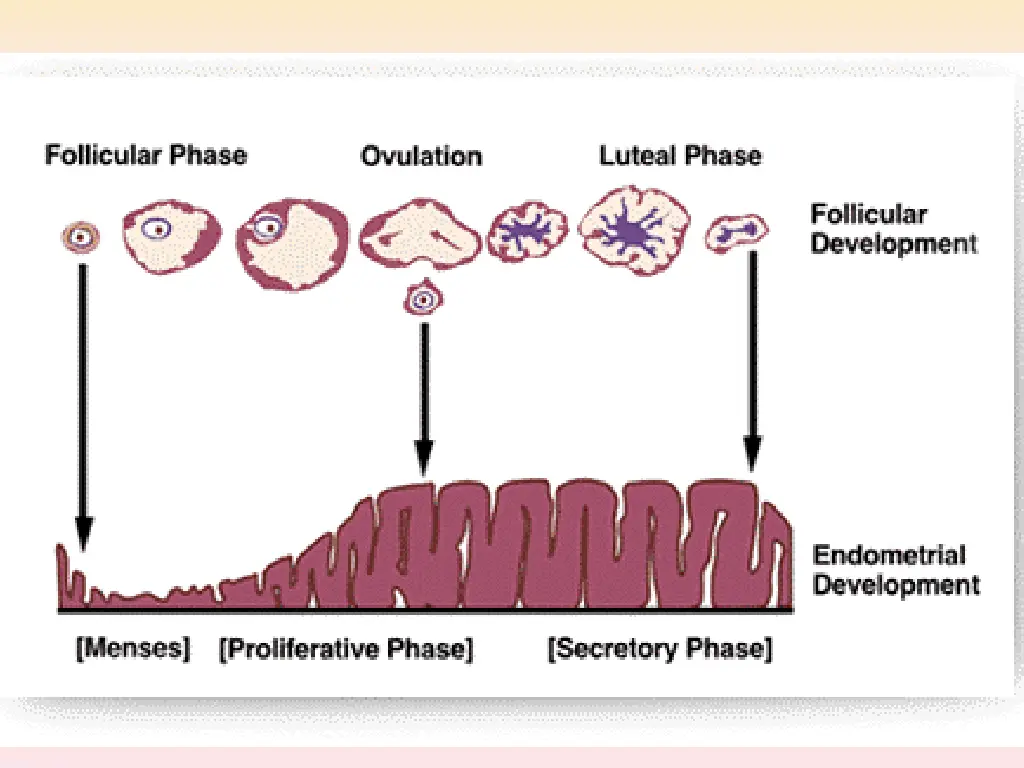 slide7