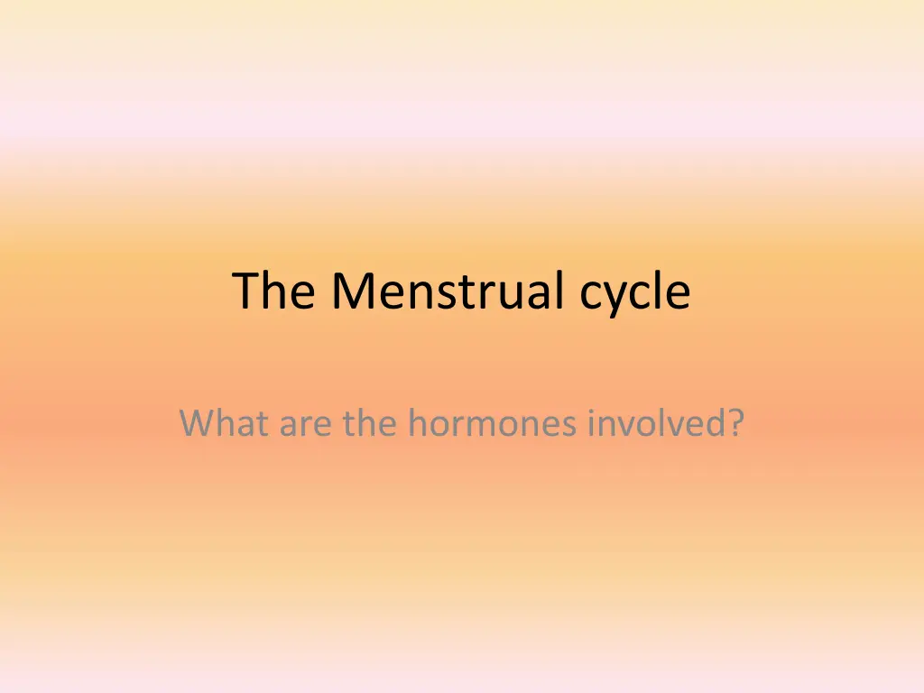 the menstrual cycle