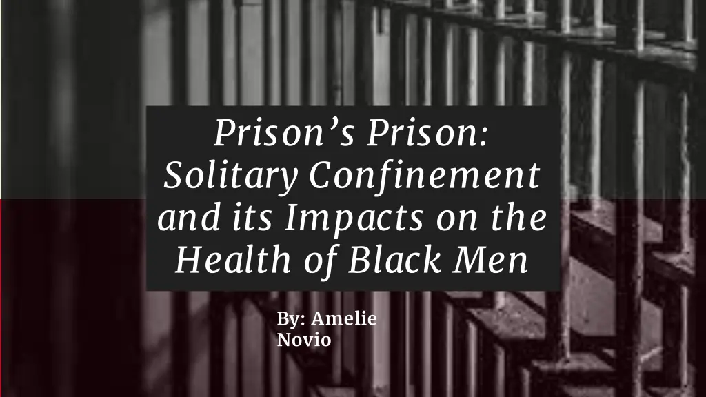 prison s prison solitary confinement