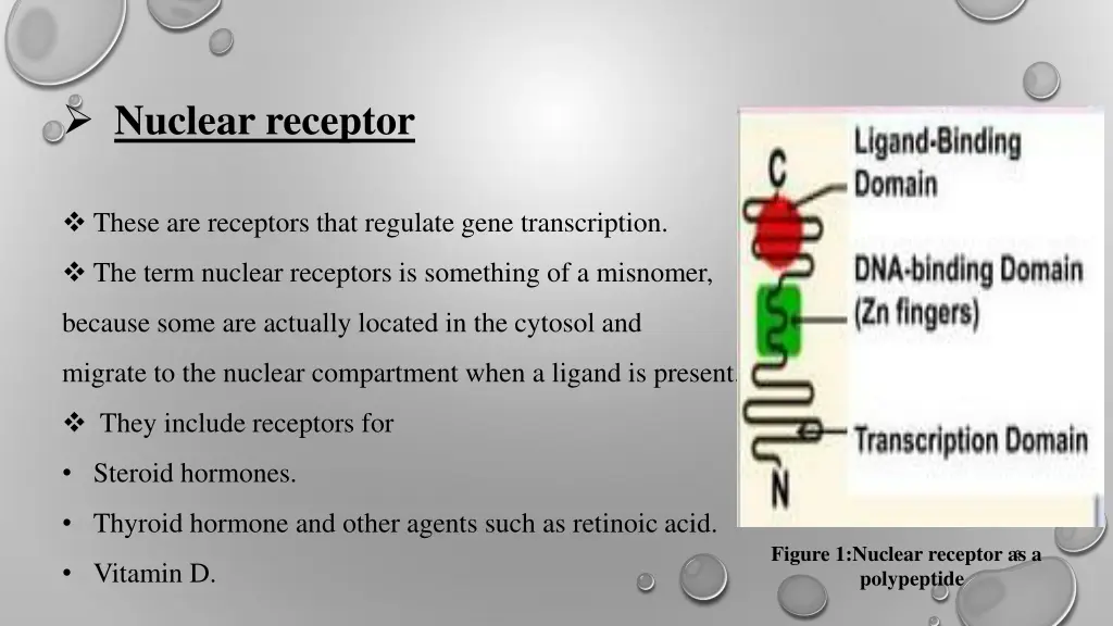 nuclear receptor