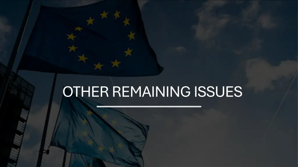 other remaining issues