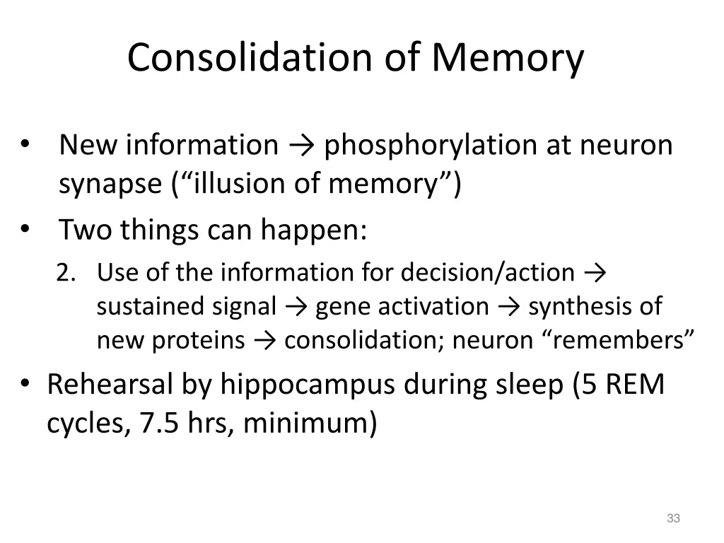 consolidation of memory