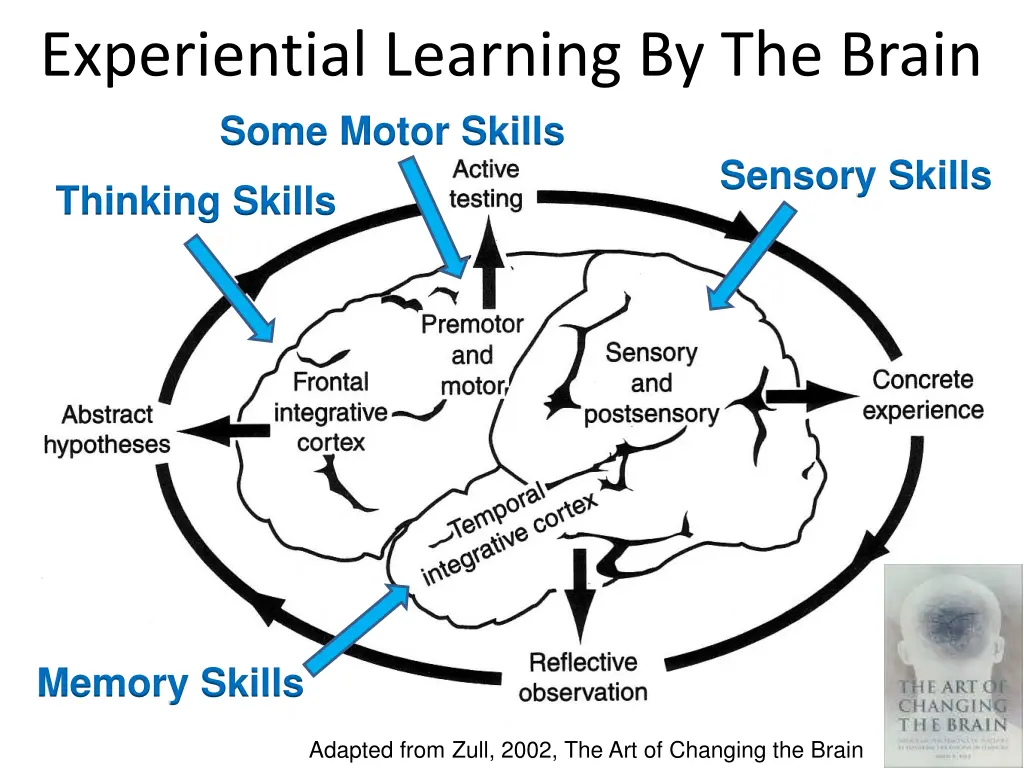 experiential learning by the brain some motor