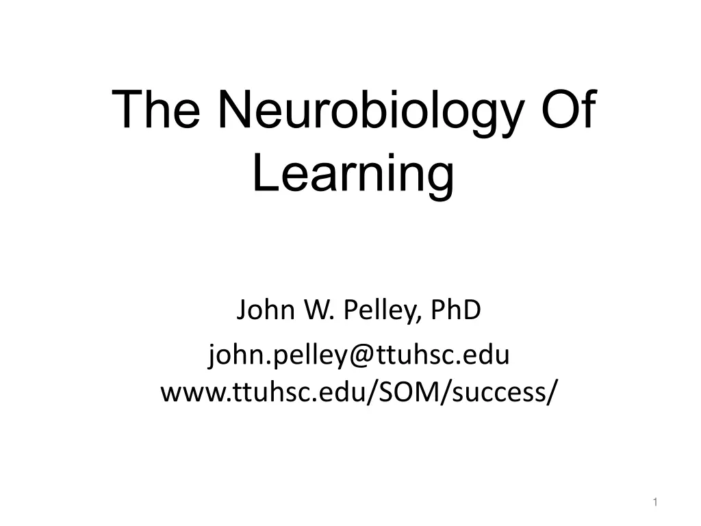 the neurobiology of learning
