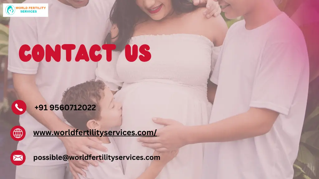 contact us