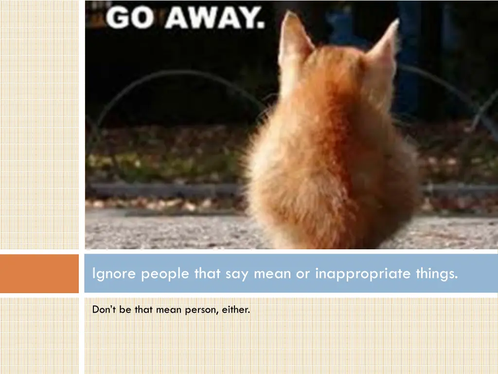 ignore people that say mean or inappropriate