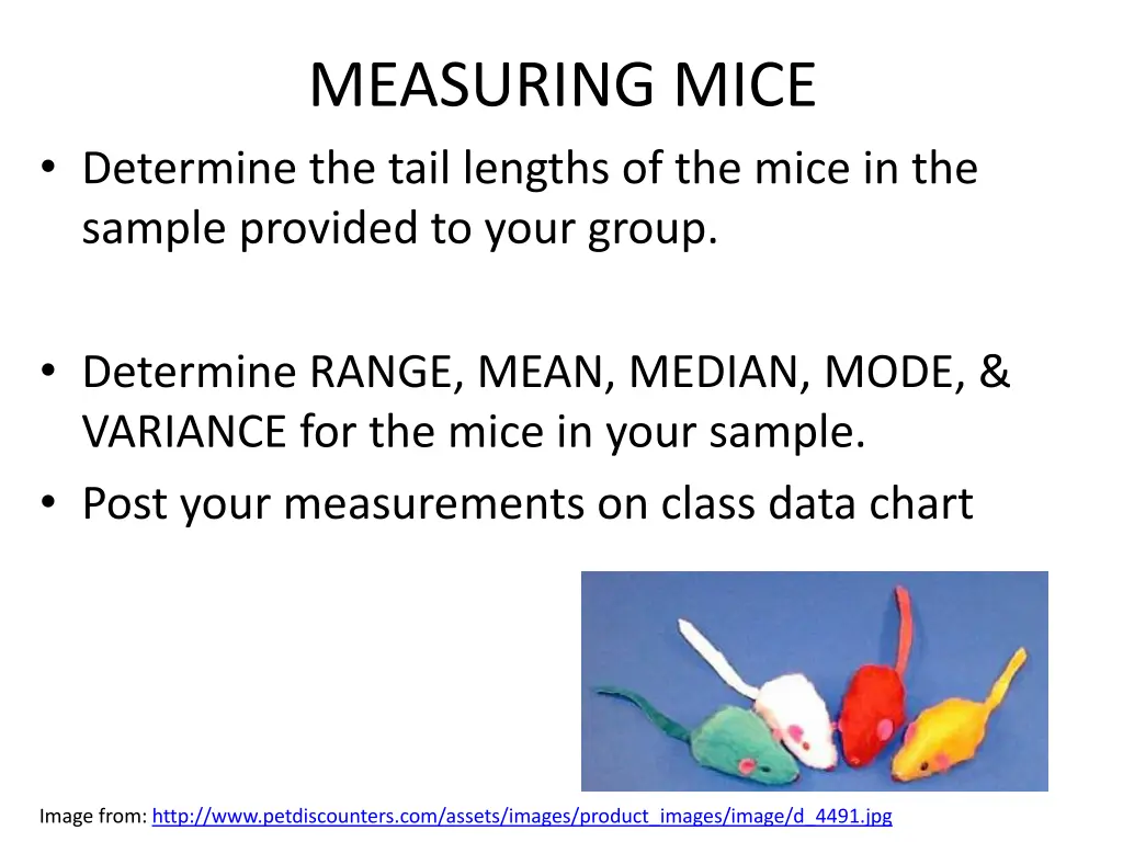 measuring mice
