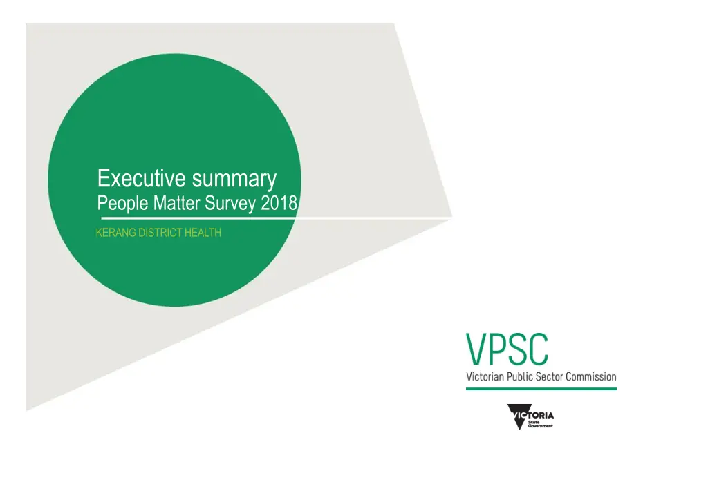 executive summary