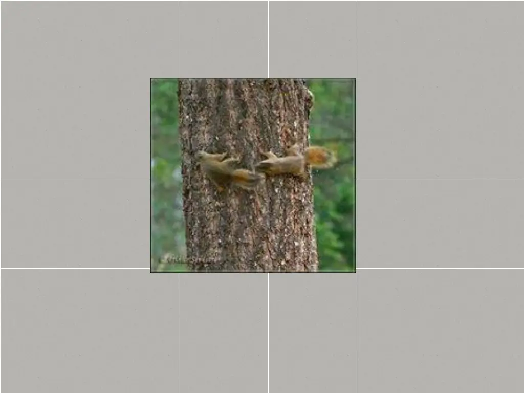 slide23