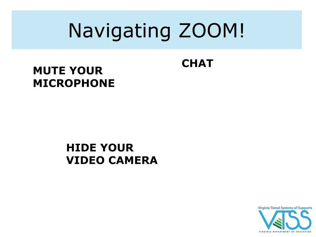 navigating zoom