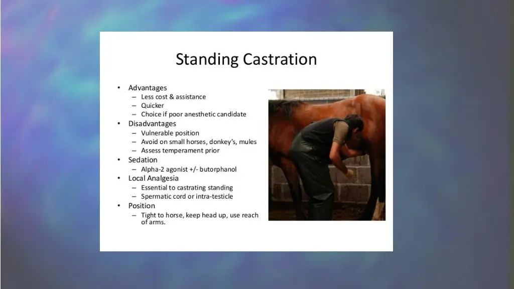 slide7