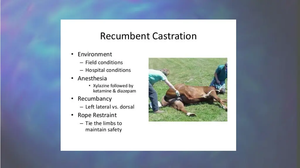 slide8