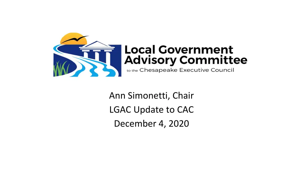 ann simonetti chair lgac update to cac december