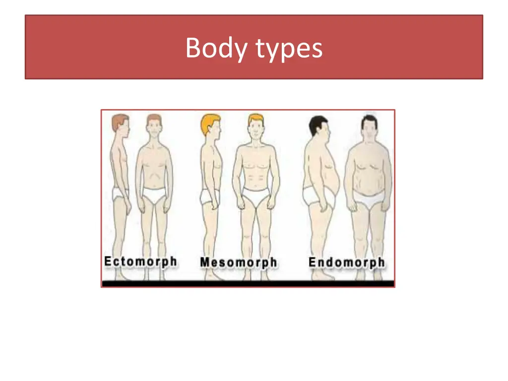 body types