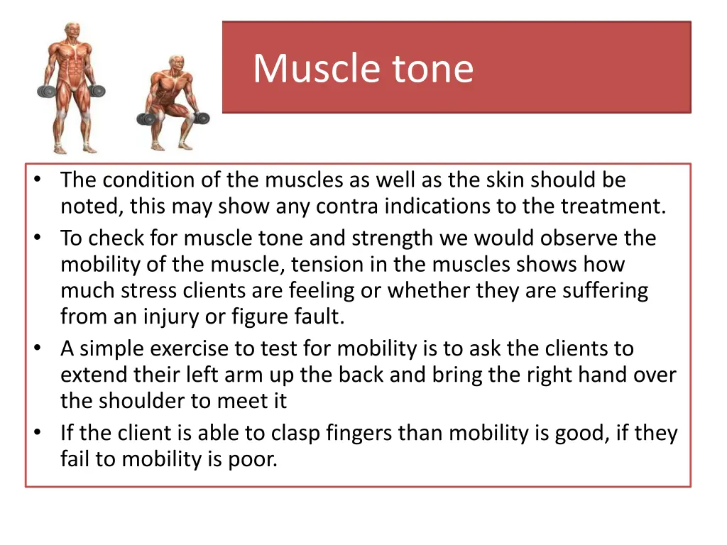 muscle tone