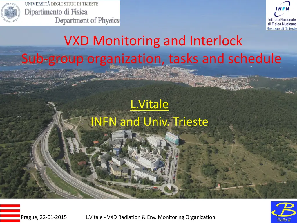 vxd monitoring and interlock sub group