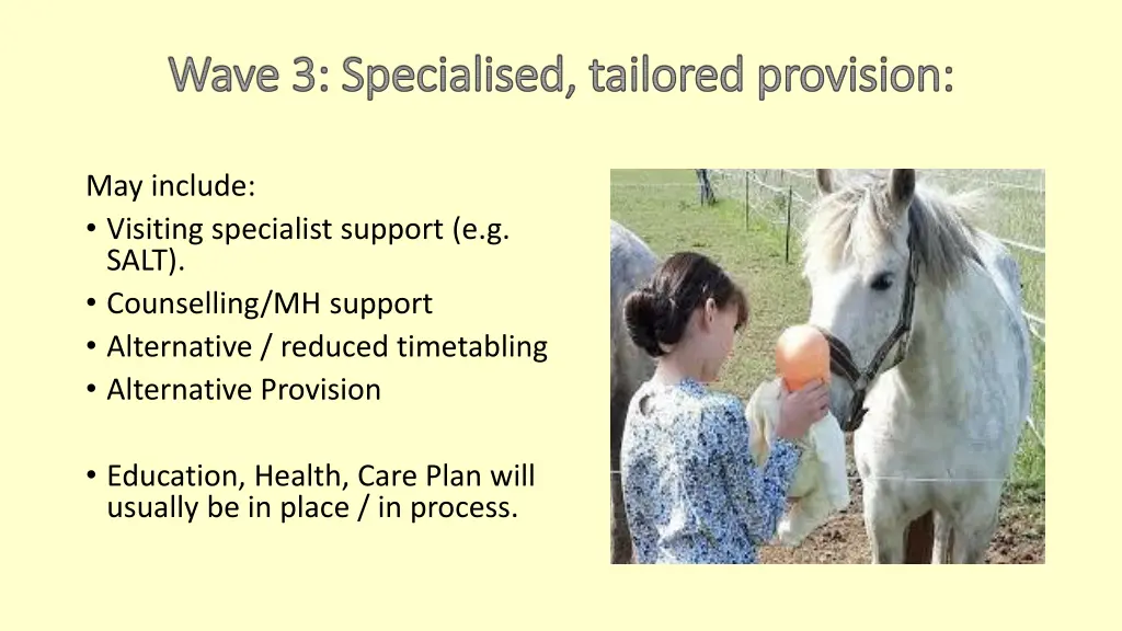wave 3 specialised tailored provision wave