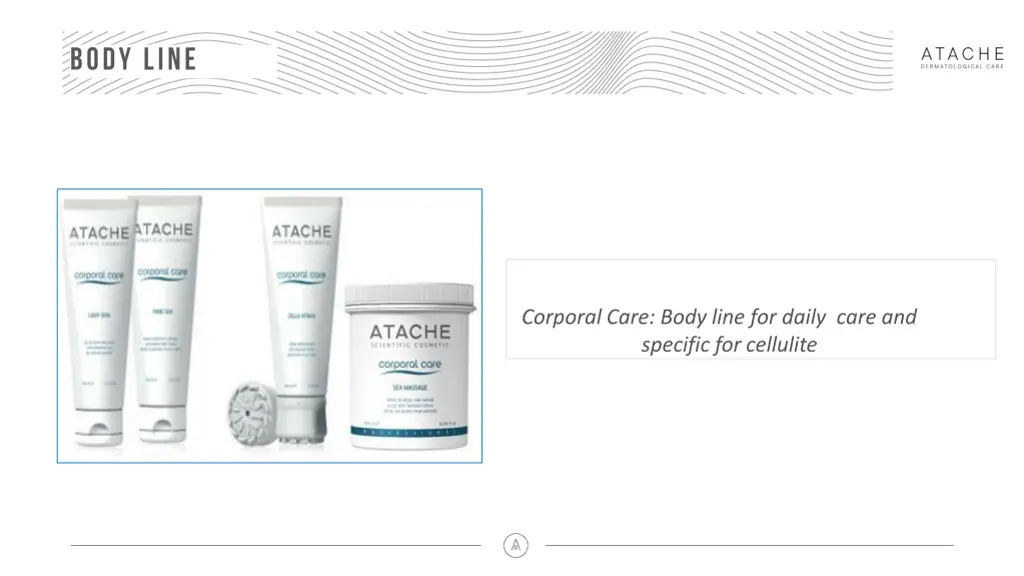 corporal care body line for daily care