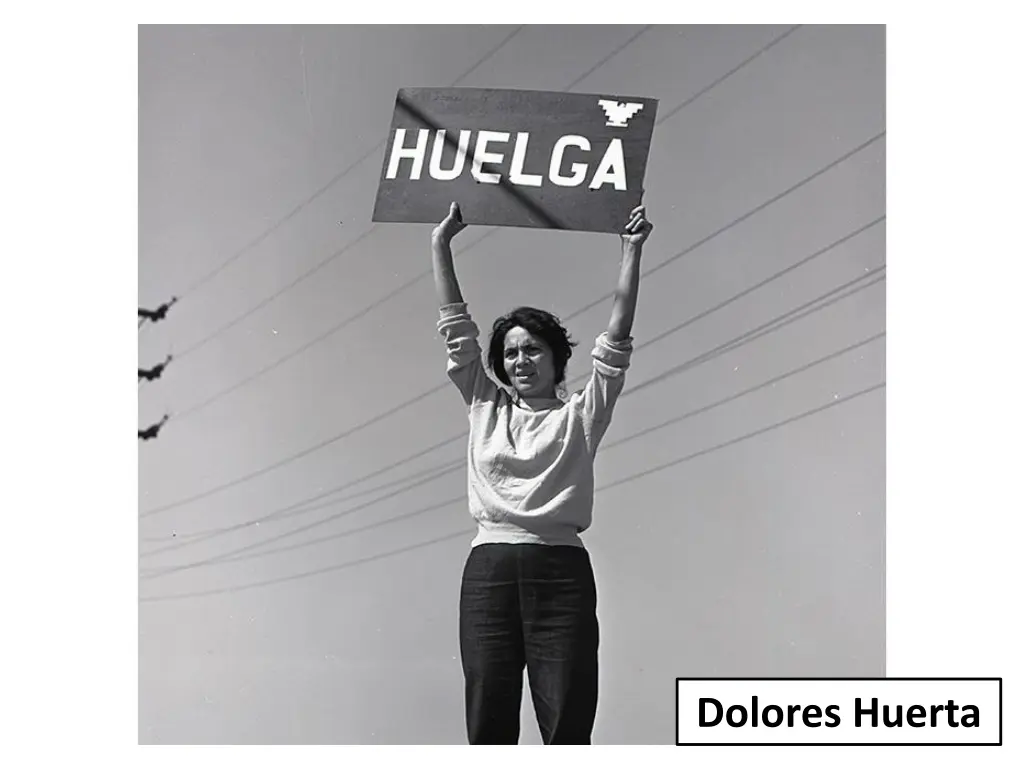 dolores huerta