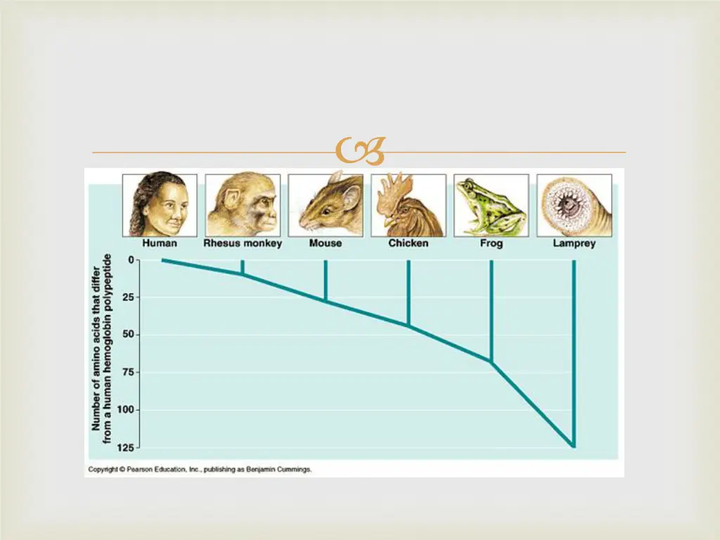 slide3