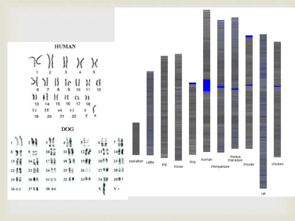 slide5