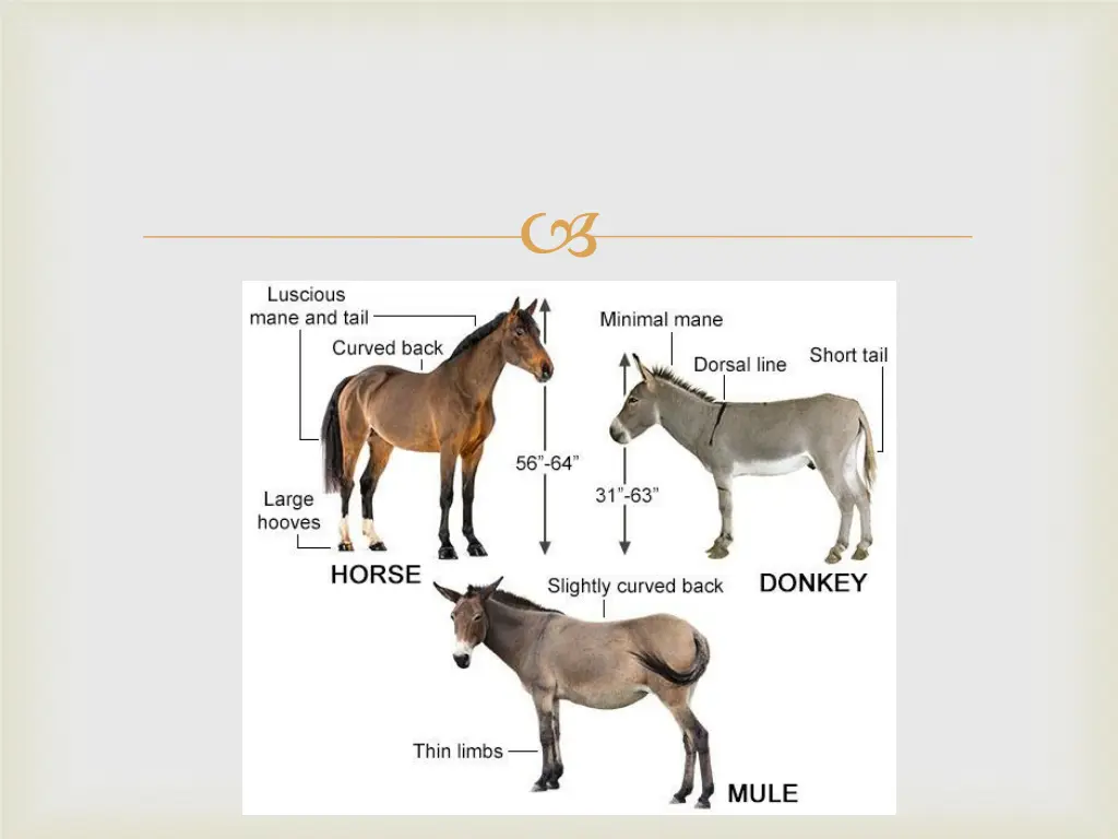 slide7