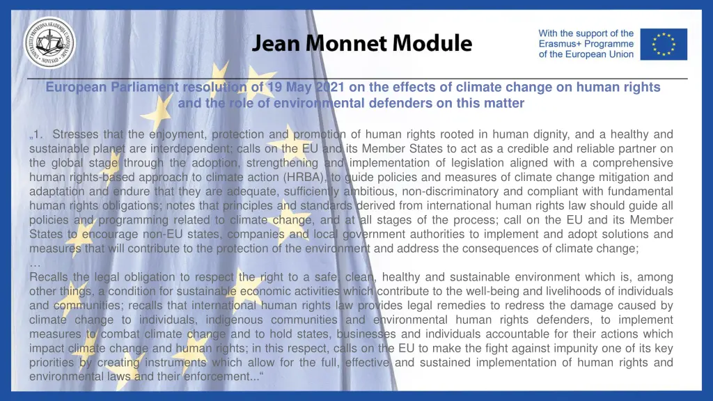 european parliament resolution of 19 may 2021